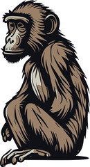 Obraz premium A Baboon Cute Vector, Animal, Cartoon
