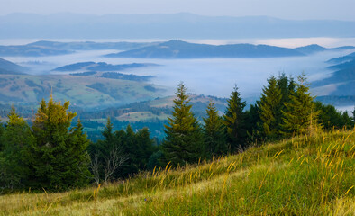 early morning green mountain valley in blue mist