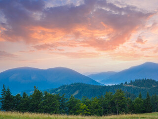Obraz na płótnie Canvas early morning green mountain valley in blue mist