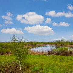 small calm lake among green plain, beautiful summer outdoor scene