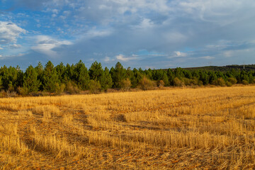 Plakat view of a crop field in Spain