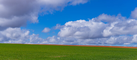 field and the clouds in Zamora