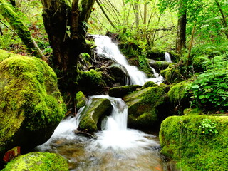 Cascada en arroyo de montaña con efecto seda, rodeada  de entorno vegetal 