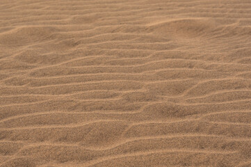 Fototapeta na wymiar Whispers in the wind: captivating patterns on a desert dune sand texture under sunlight (background)
