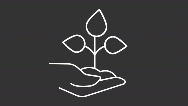 Holding plant white line animation. Human hand holds sprout animation. Eco-friendly symbol. Loop HD video with chroma key, alpha channel, transparent background. Outline motion graphic animation