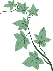 Simplicity ivy freehand drawing