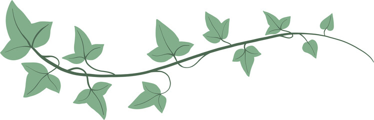 Simplicity ivy freehand drawing