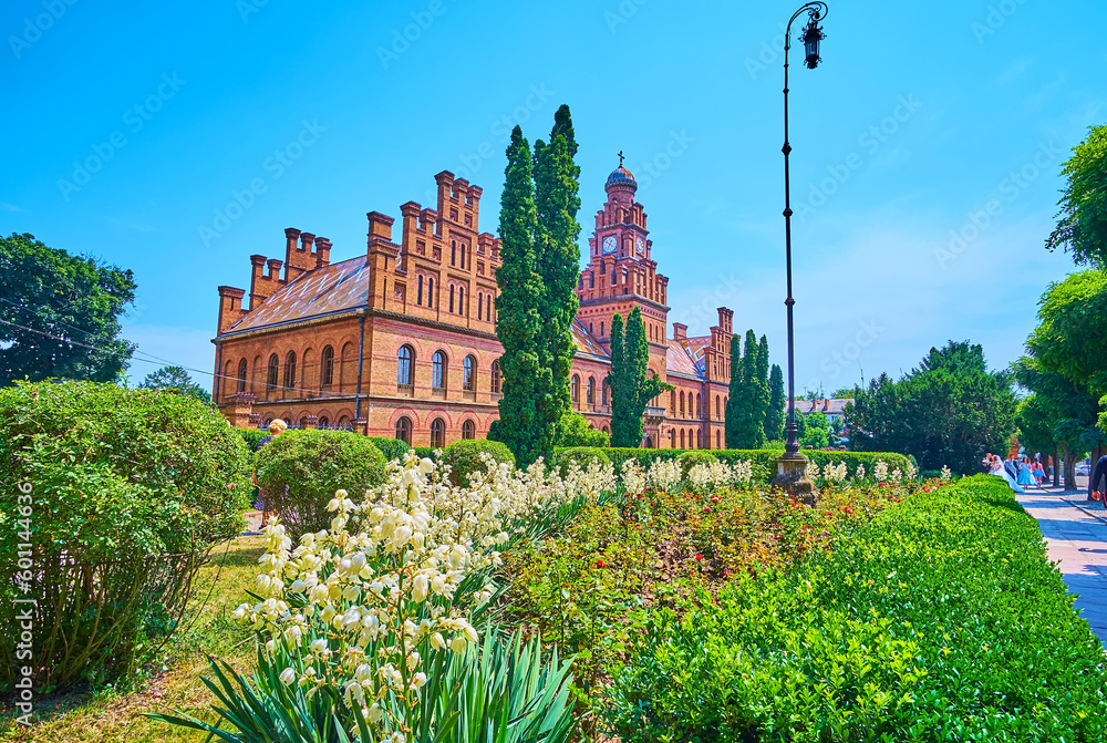 Canvas Prints Flowering yucca in garden of Chernivtsi National University, Chernivtsi, Ukraine