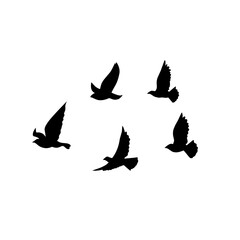 Plakat vector silhouette of flying birds 