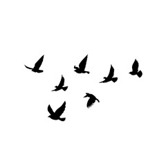 Naklejka na ściany i meble vector silhouette of flying birds 