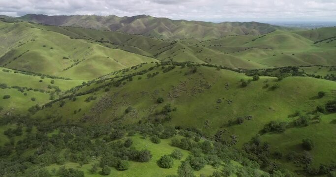 Upper Cottonwood Creek Wildlife Area with San Luis Reservoir in Background near Los Banos. California. USA. Mountains in Background. Drone