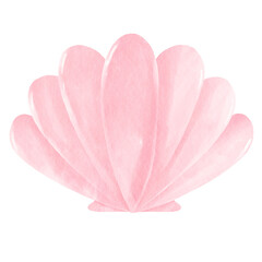 Watercolor pink shell illustration isolated on transparent background