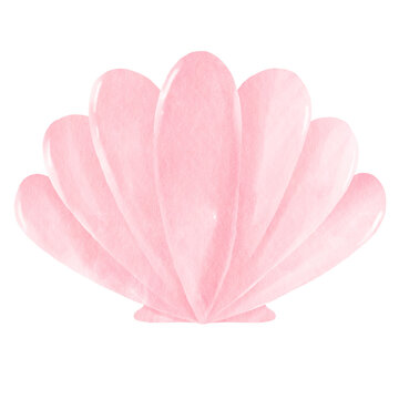 Watercolor pink shell illustration isolated on transparent background