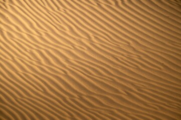 sahara, sand background