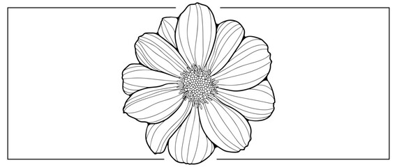 Black and white vector floral illustration for coloring books, decorations, covers, decor, cards and presentations