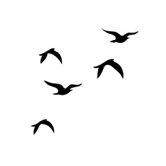 Bird flock silhouette vector illustration.