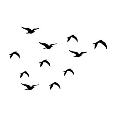 Obraz na płótnie Canvas Bird flock silhouette vector illustration.