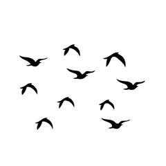 Fototapeta na wymiar Bird flock silhouette vector illustration.