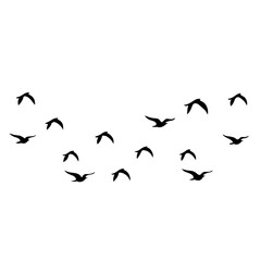 Bird flock silhouette vector illustration.