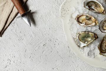 Plate with fresh opened oysters and oyster opener on light table, top view with copy space