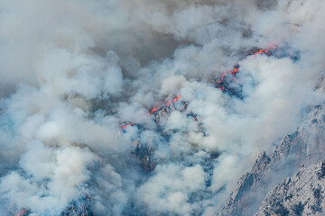 fuego, incendio, sequía