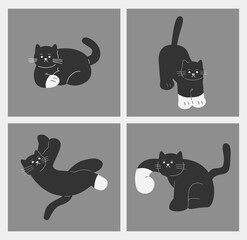 Cute cat illustration set. lovely pet. happy and lazy cat.