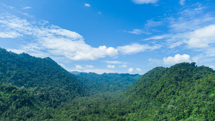 Fototapeta premium High angle view tropical forest.