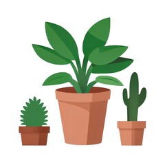 Many potted plant on a simple background
