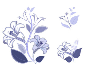 Lily flowers composition, blue and white. Vector illustration