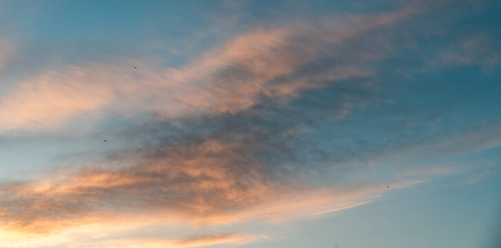 Beautiful bright summer sunset sky with clouds. Sunset sky  clouds background.