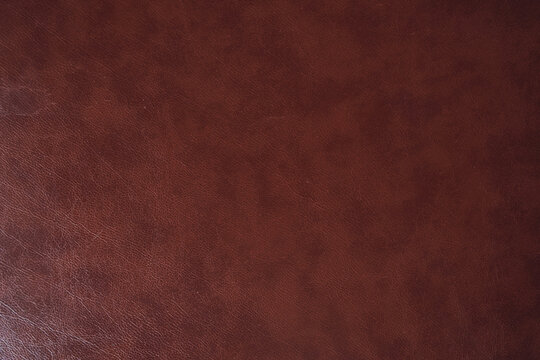 Brown genuine leather with a pattern of designer lines. A template for your design with space to copy. High quality photo
