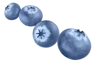 Flying delicious ripe blueberries cut out