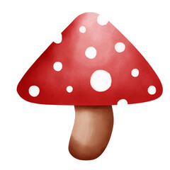 Watercolor Toadstool Illustration Isolated on Transparent Background