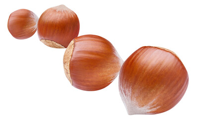 Flying delicious hazelnuts cut out
