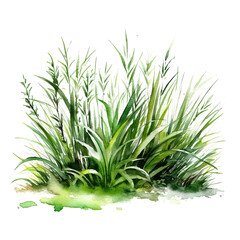 Watercolor green grass. Illustration AI Generative.