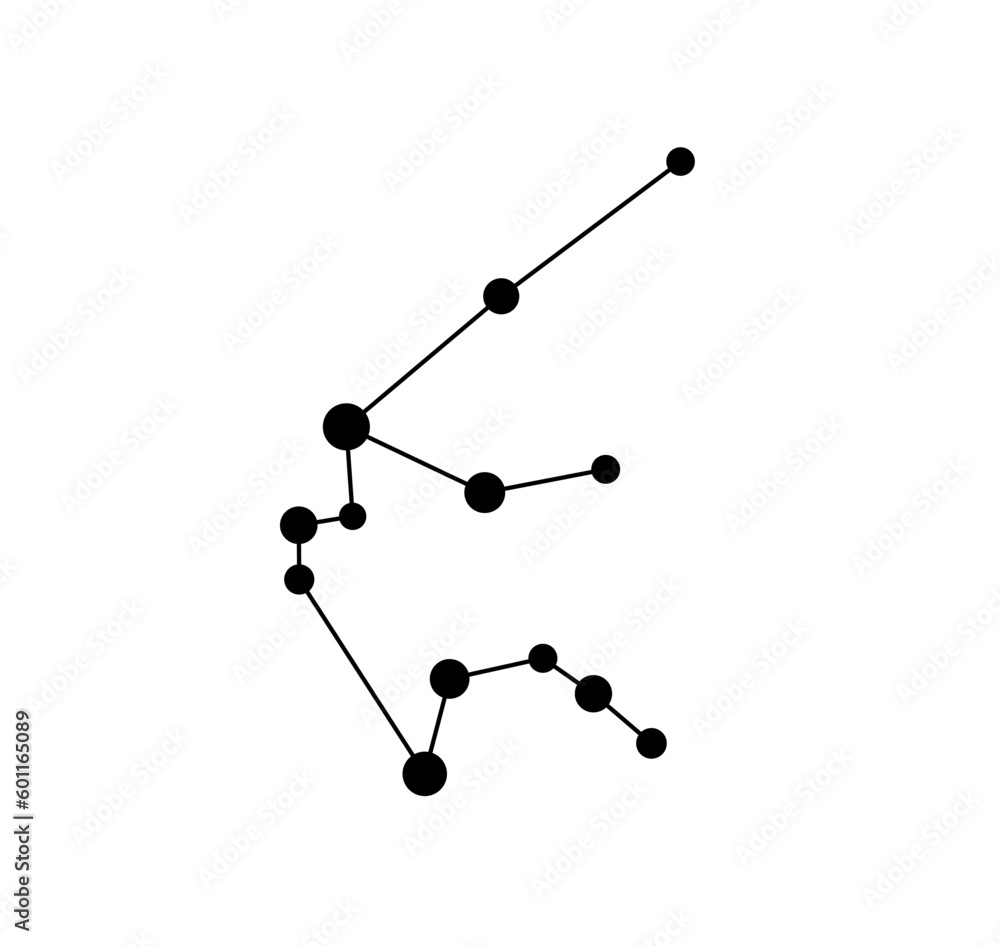 Wall mural vector isolated one single aquarius stars constellation map scheme colorless black and white contour