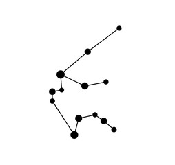Vector isolated one single Aquarius stars constellation map scheme colorless black and white contour line easy drawing  © MariMuz