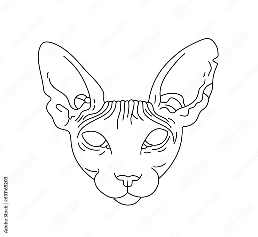 Poster vector isolated one single bold sphinx cat head face portrait front view colorless black and white c