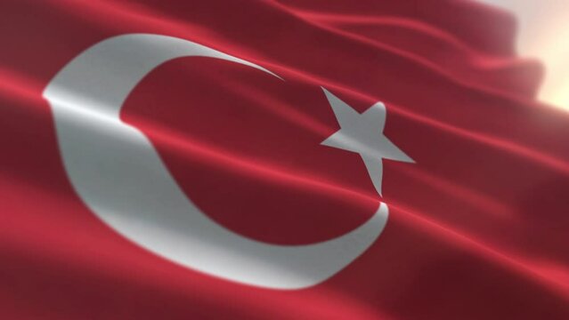 Red Turkish Country Flag With White Star And Crescent Symbol. Turkish National Country Flag Design. Presidential Standard Government Symbol. Turkish Republic Country Symbol. Culture. History