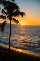 Hawaiian sunset with palm trees silhouettes 