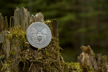 Silbermünze / Silber-Unze / Edelmetall / Anlagesilber (1 oz American Silver Eagle - Fine Silver)...