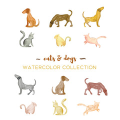 Vector cats and dogs watercolor collection