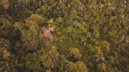 Praia Ilha Naufragados Náufragos Mata Atlântica Sul Florianópolis Floripa Trilha Passeio Aventura Turismo Turista Lago Lagoa Baía Verão Rocha Fortaleza Portuguesa Canhões Costa Litoral Natureza Mar SC
