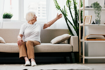 Elderly woman sits on sofa at home, bright spacious interior in old age smile, lifestyle. Grandmother with gray hair in a white T-shirt and beige trousers.