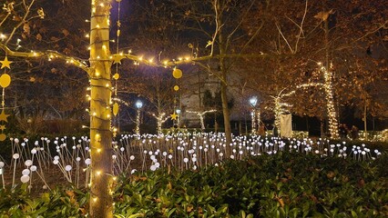 Advent lights