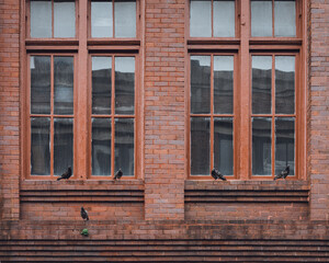 Fototapeta na wymiar Pigeons on Brick Window Ledge