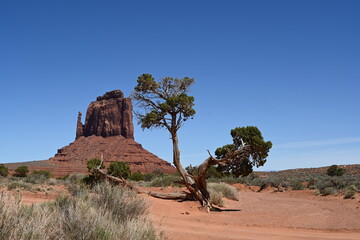 Monument Valley, USA - 601177015