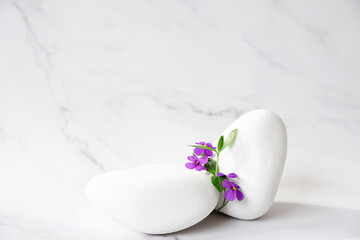 SPA background concept. White stones and purple flower on marble background with copy space. Body...