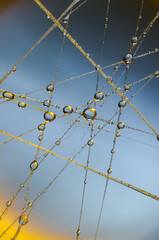 macro of water droplets on a spider web, abstract dynamic decorative background, futuristic stylish patterns created by light in different colors