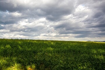 green field and blue sky